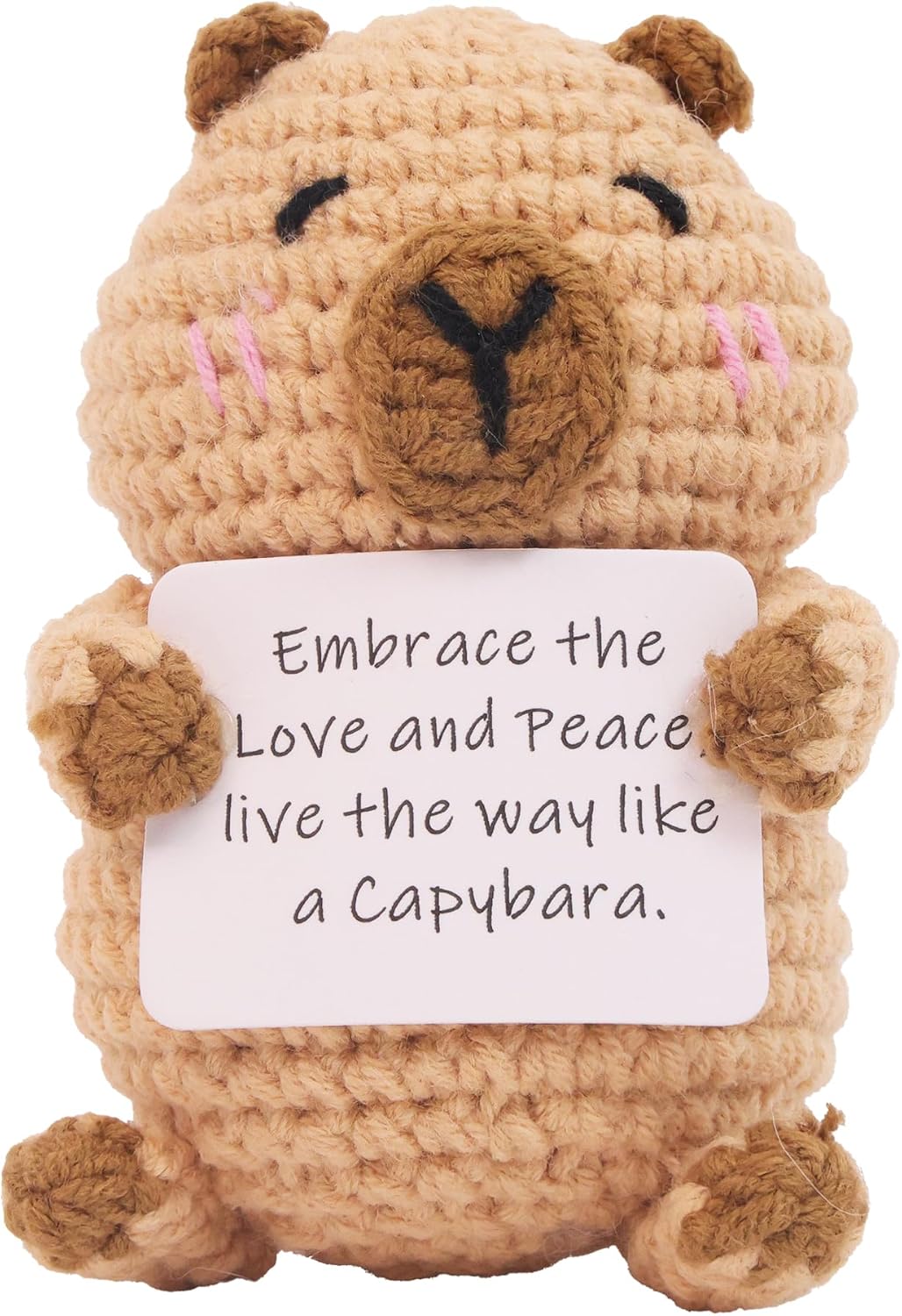 Capybara Gifts, Positive Crochet Animals Capybara, Knitted Wool Capybara Toy with Positive Card, Cheer Up for Friends, Women, Girls and Boys as Birthday Christmas