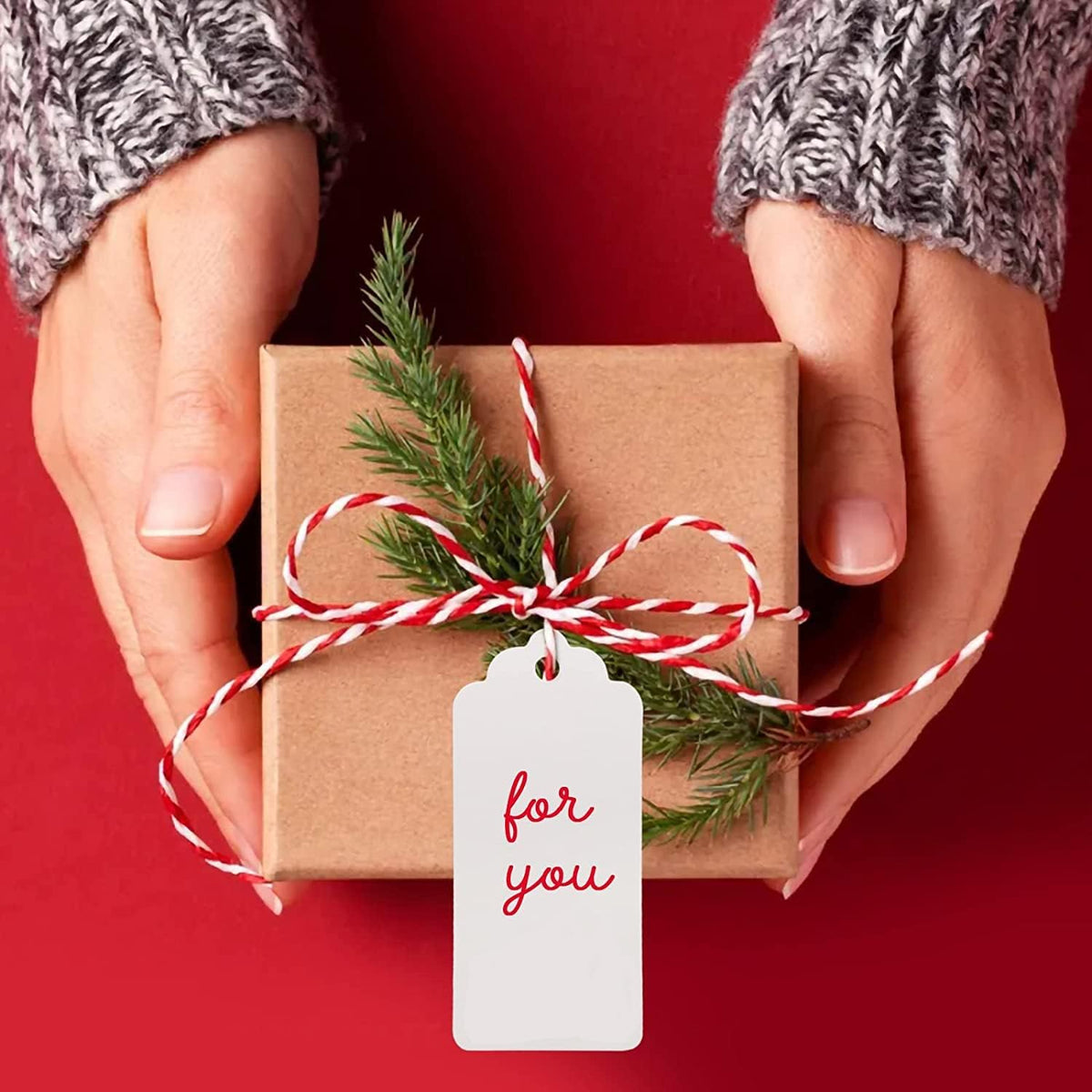 G2PLUS 100PCS White Gift Tags with String, 2 x 4 Inches Blank Paper Tag