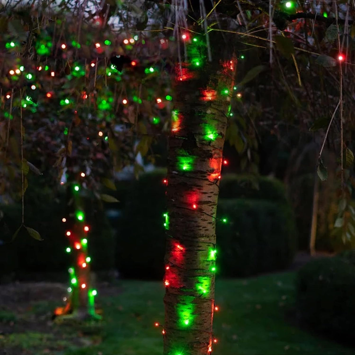 Dazzle Bright Red and Green Christmas String Lights, 300 LED 100 FT Connectable Waterproof String Lights Green Wire with 8 Modes, Xmas Vintage Decorations for Indoor Outdoor Party Yard Garden Decor