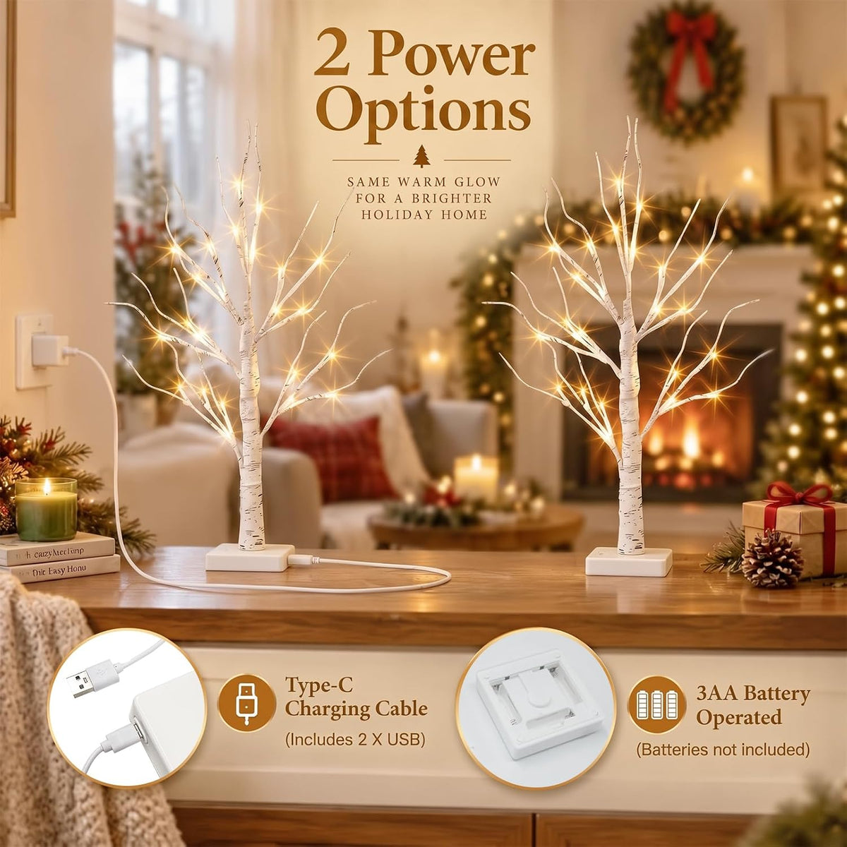 PEIDUO Christmas Decorations for The Home, 2FT BirchTree with LED Lights, Warm White Tree Lamp, Fairy Light Spirit Tree for Room Inside Fireplace Home Decor, Battery Powered, Timer (4PK)
