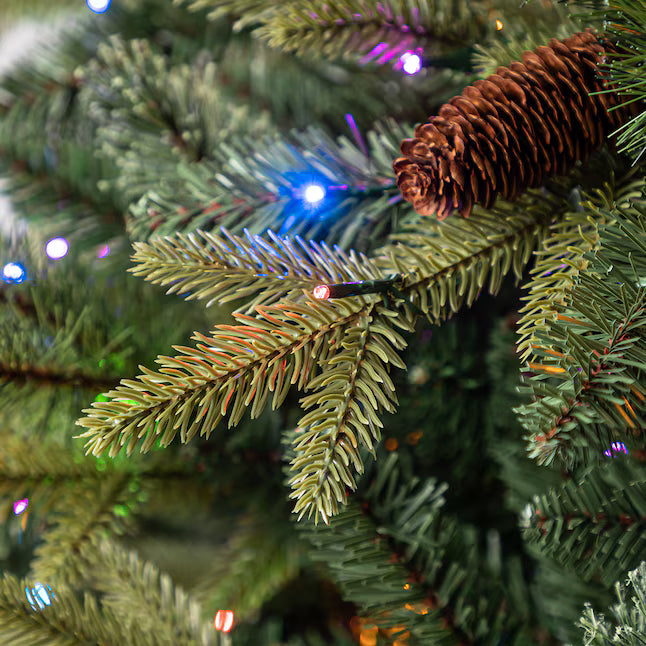 Holiday Living Hayden 7.5-ft Hayden pine Pre-lit Artificial Christmas Tree with Multicolor LED Lights