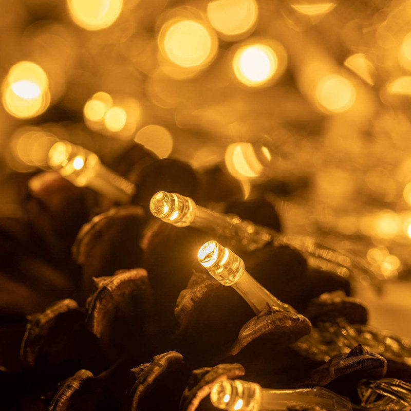 792'' String Lights