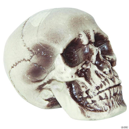 7 1/2" Realistic Skull Decoration