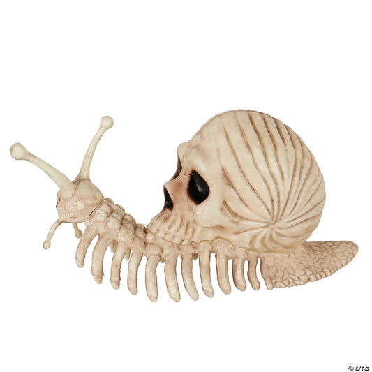 8 3/4" x 3 3/4" Snail Skeleton Prop Plastic Halloween Decoration