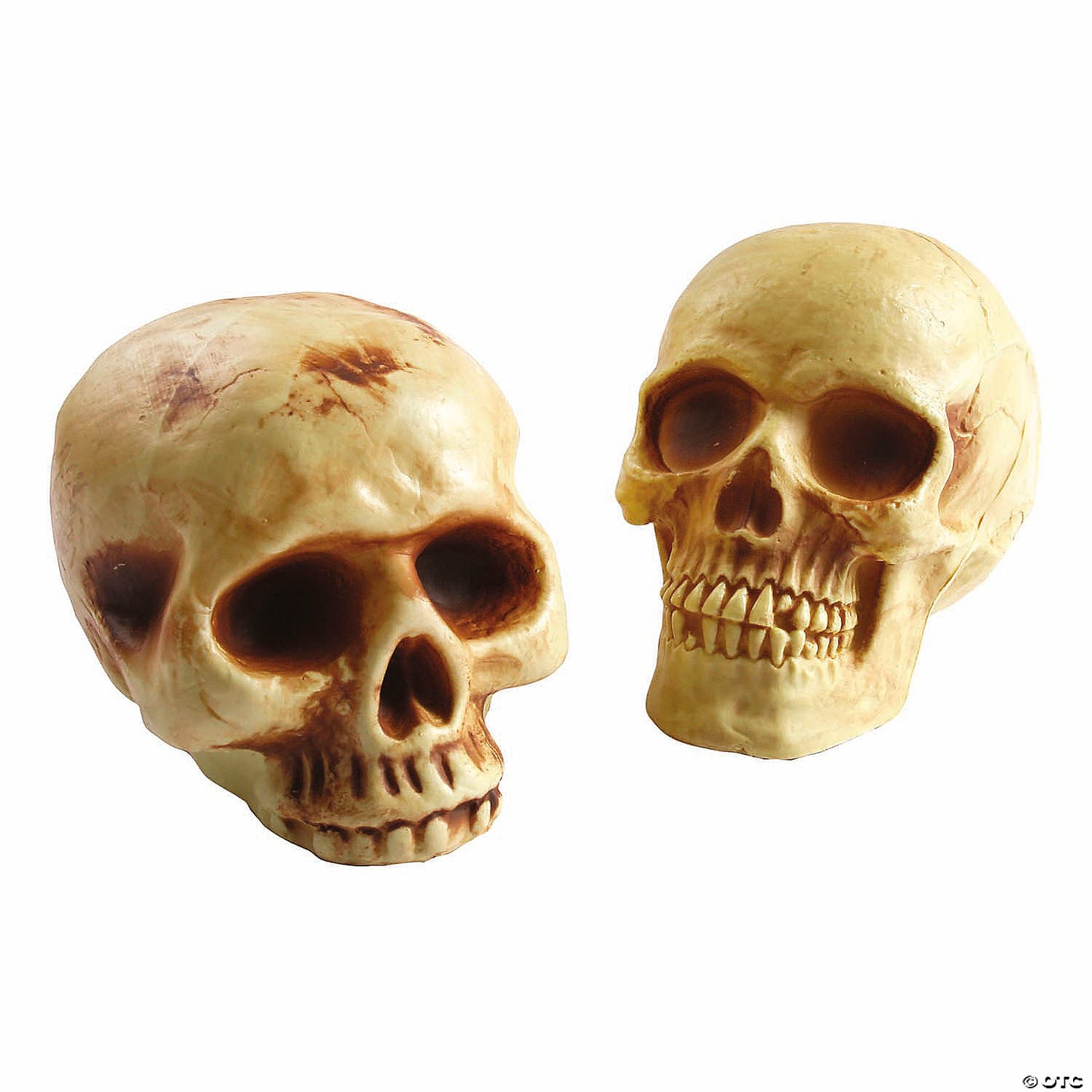 8" Brown Plastic Skull Halloween Decoration