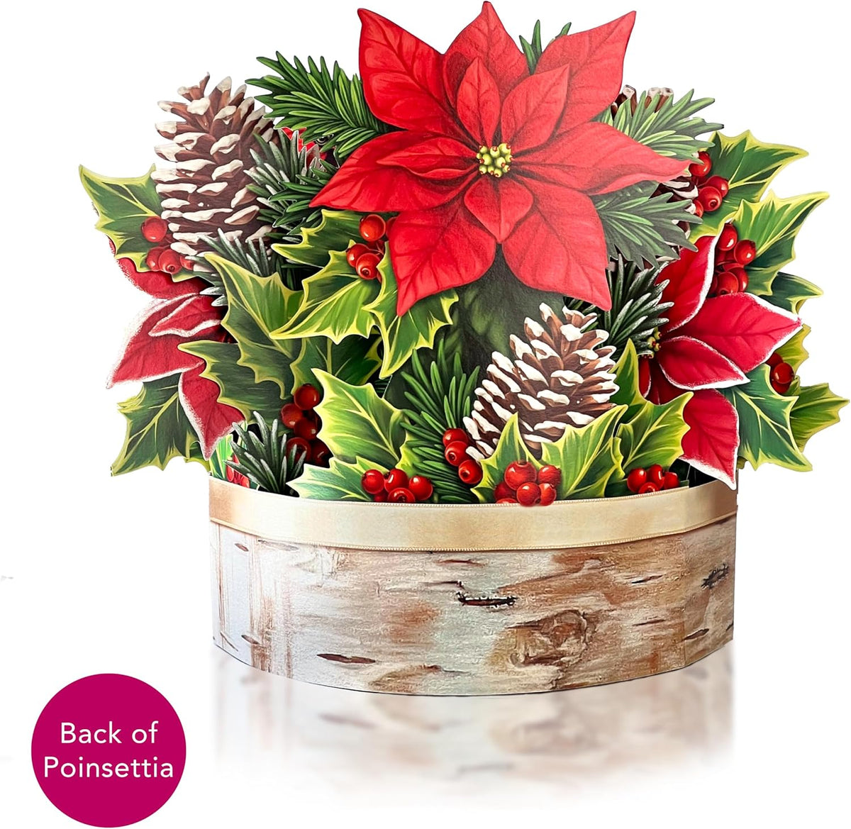 Freshcut Paper Pop Up Christmas Cards, Birch Poinsettia, 10 Inch Life Sized Flower Bouquet 3D Popup Greeting Cards, Christmas Card, Holiday Card, Blank Notecard & Envelope