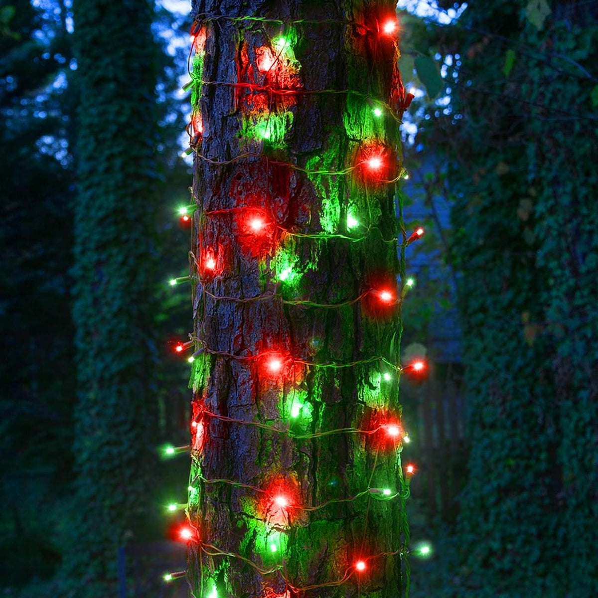 Dazzle Bright Red and Green Christmas String Lights, 300 LED 100 FT Connectable Waterproof String Lights Green Wire with 8 Modes, Xmas Vintage Decorations for Indoor Outdoor Party Yard Garden Decor