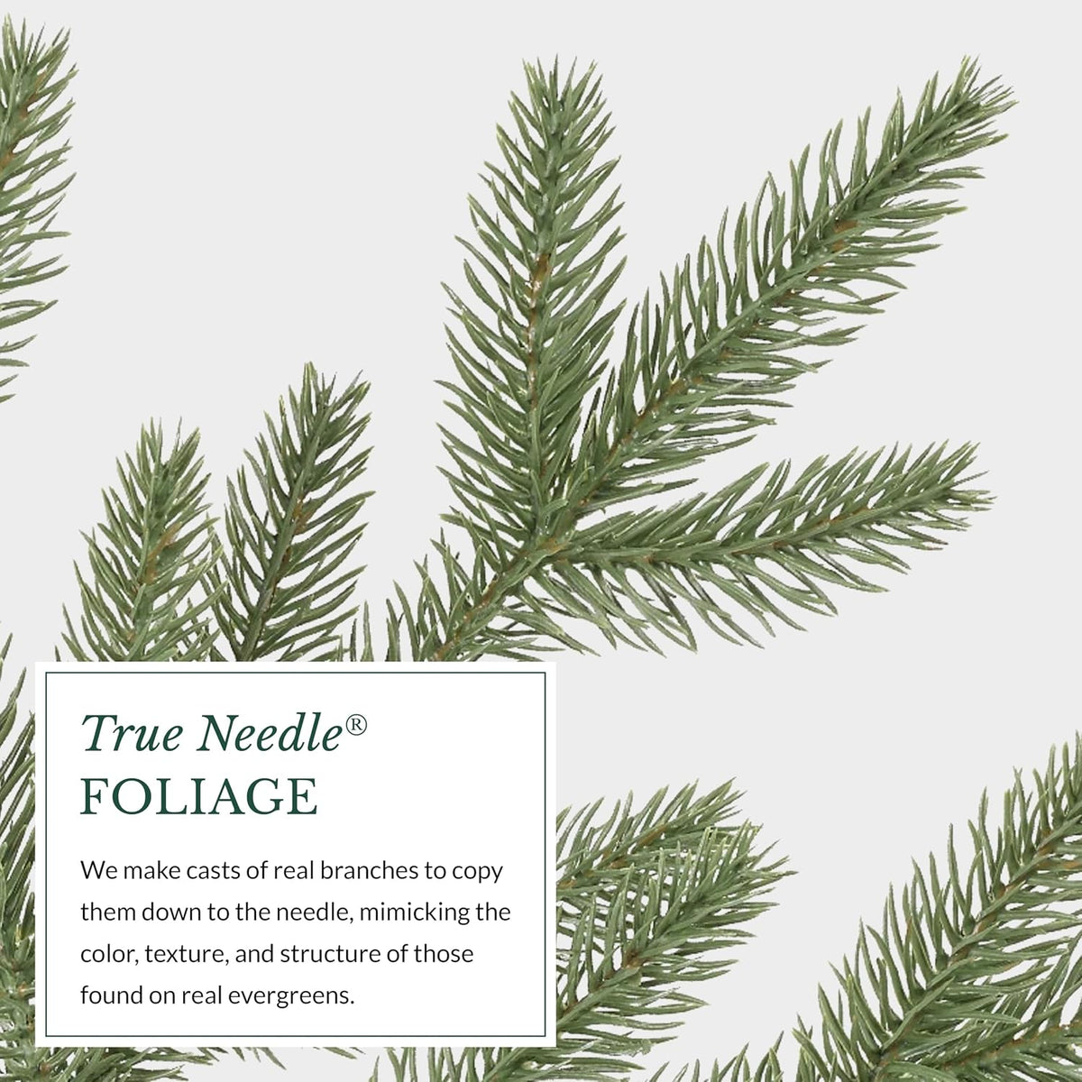 Balsam Hill Stratford Spruce - Slim Artificial Christmas Tree with True Needle Foliage & Premium Stand for Small Spaces, Clear Incandescent, 9ft