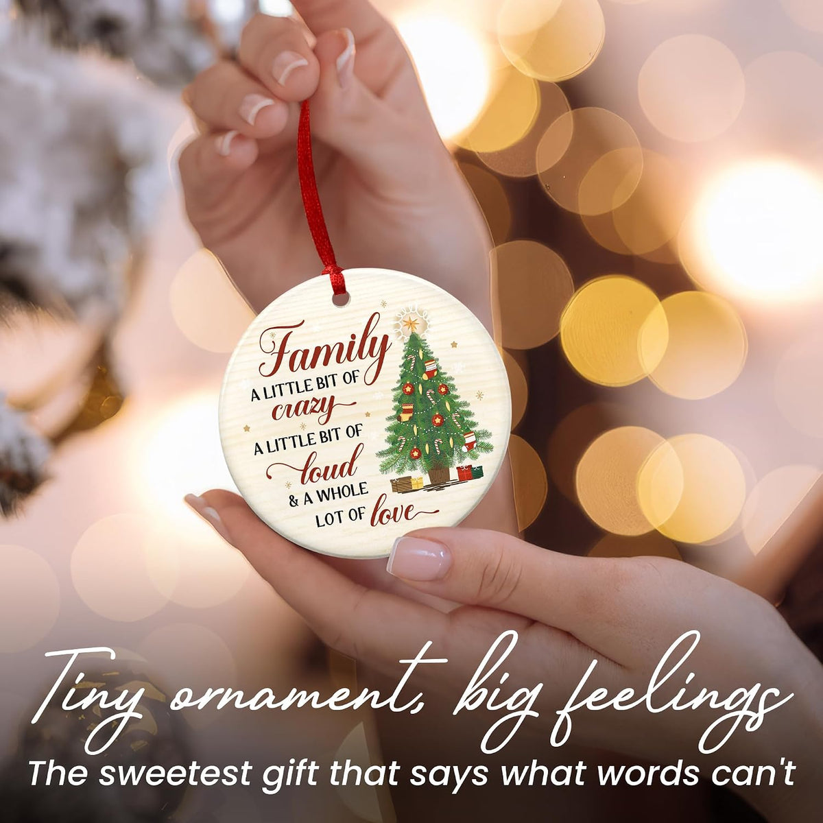 WRAPIX Family Christmas Ornaments 2026 - Christmas Funny Gifts for Family