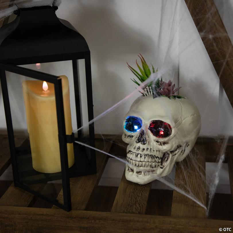 8.75" LED Lighted Succulent Halloween Skull Planter