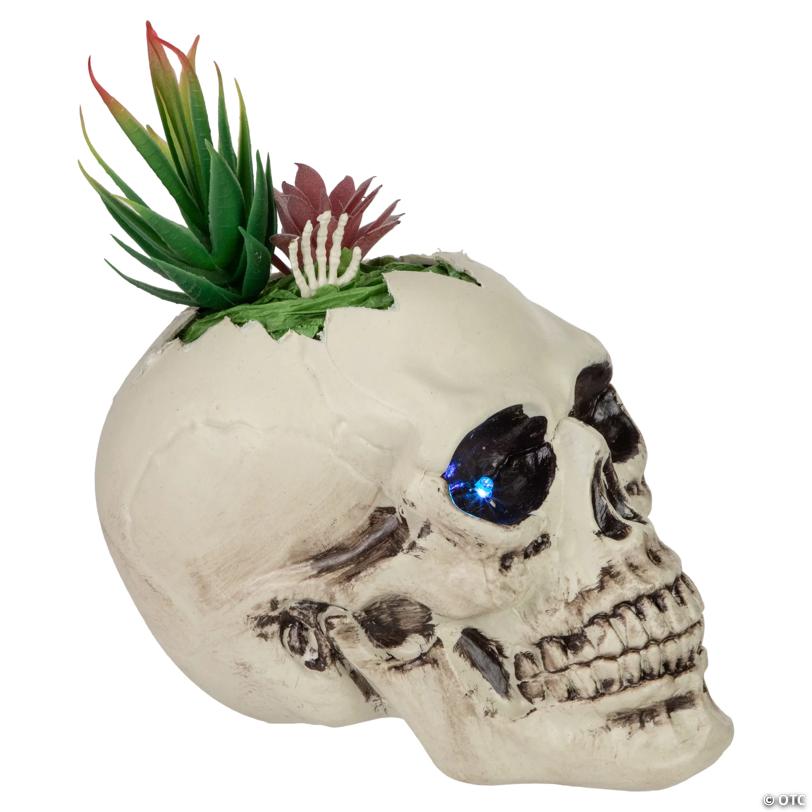 8.75" LED Lighted Succulent Halloween Skull Planter