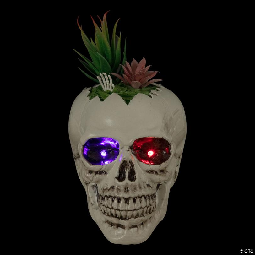 8.75" LED Lighted Succulent Halloween Skull Planter