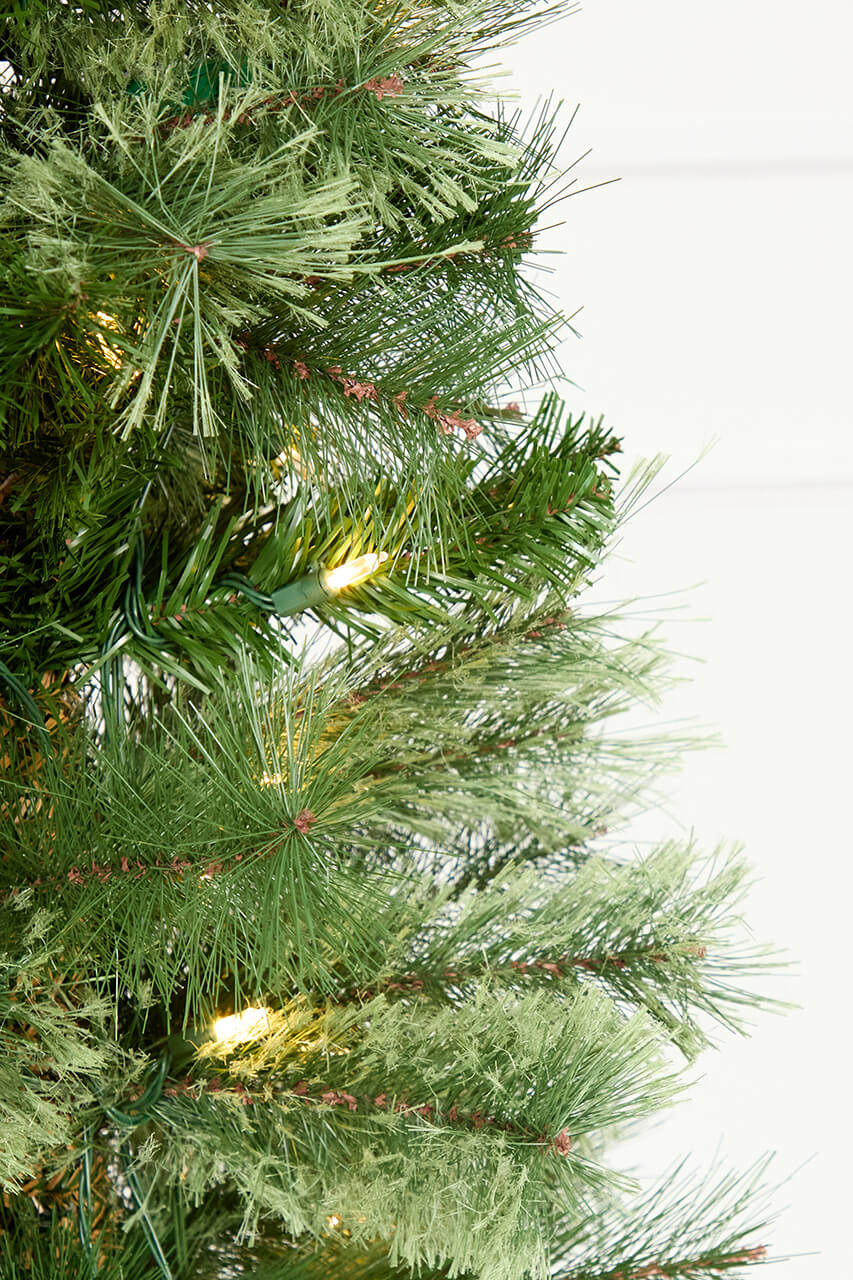 6' Whistler Pine Christmas Tree with 150 Warm White LED Lights
