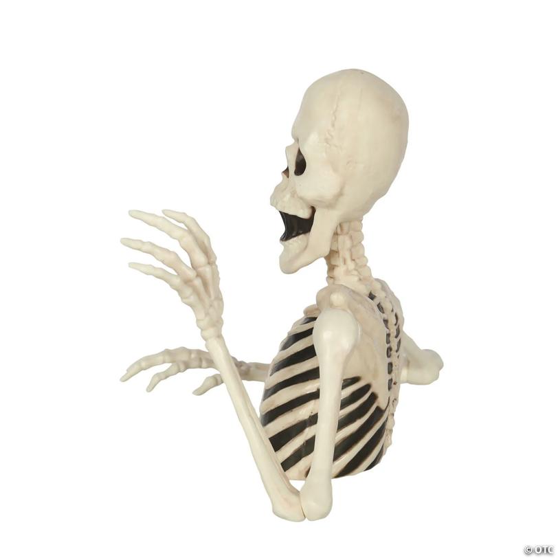 8" Black & White Groundbreaker Skeleton Halloween Decoration