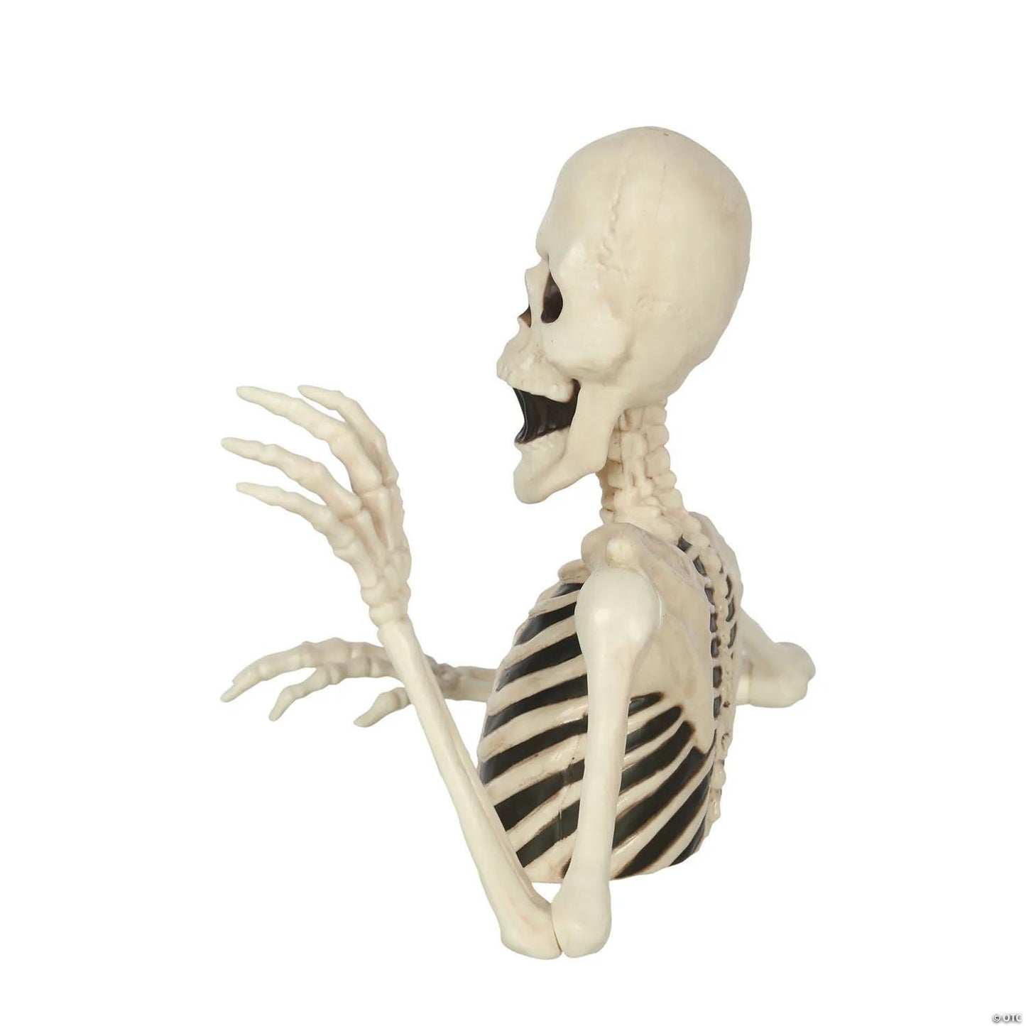 8" Black & White Groundbreaker Skeleton Halloween Decoration