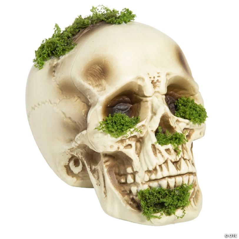 8" Mossy Decaying Plastic Skull Halloween Decoration Prop