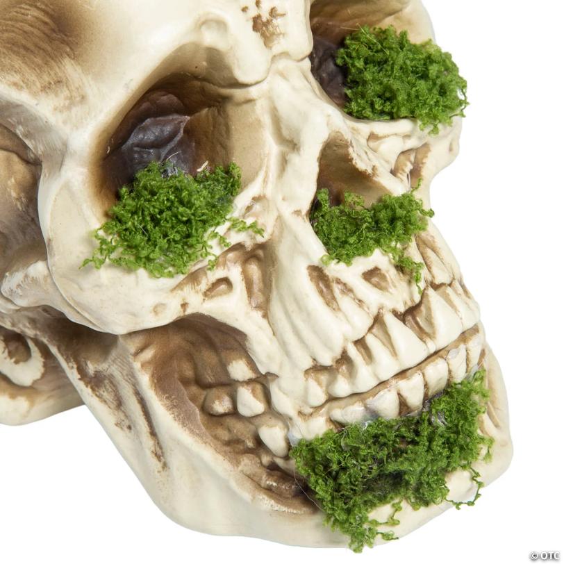 8" Mossy Decaying Plastic Skull Halloween Decoration Prop