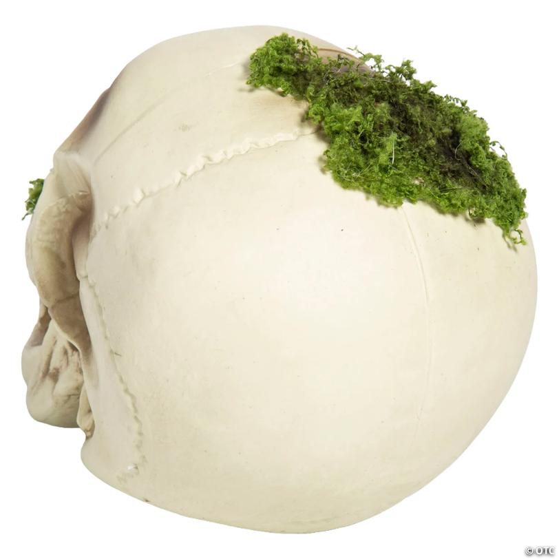 8" Mossy Decaying Plastic Skull Halloween Decoration Prop