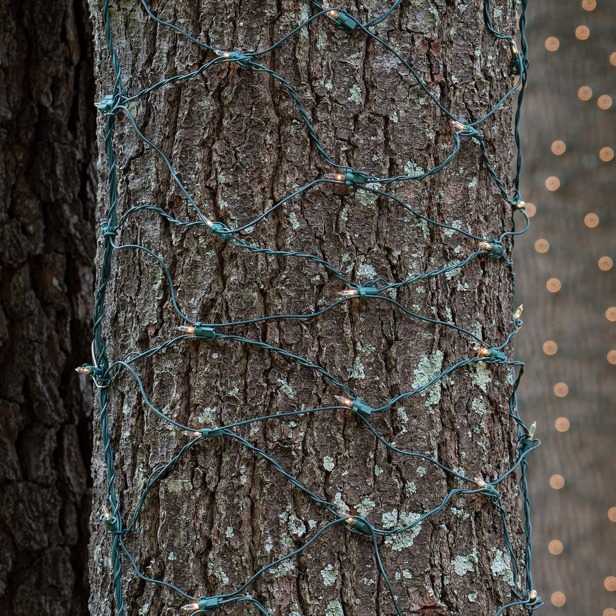 Clear Christmas Trunk Wrap Lights with 100 Lamps on Green Wire, 2' x 8'