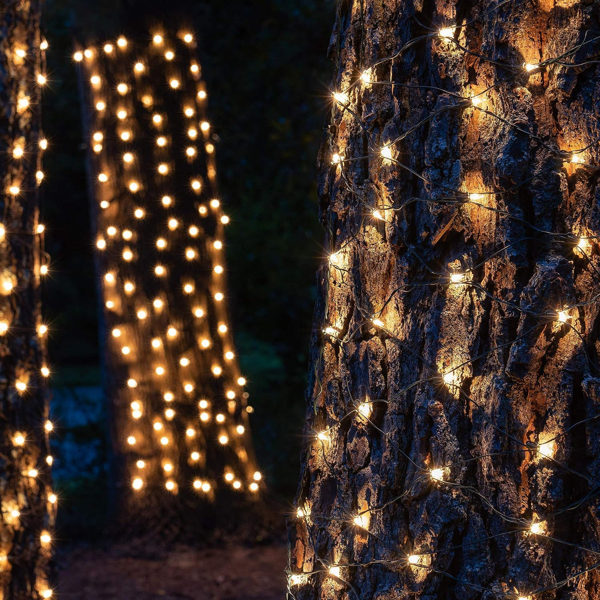 Clear Christmas Trunk Wrap Lights with 100 Lamps on Green Wire, 2' x 8'