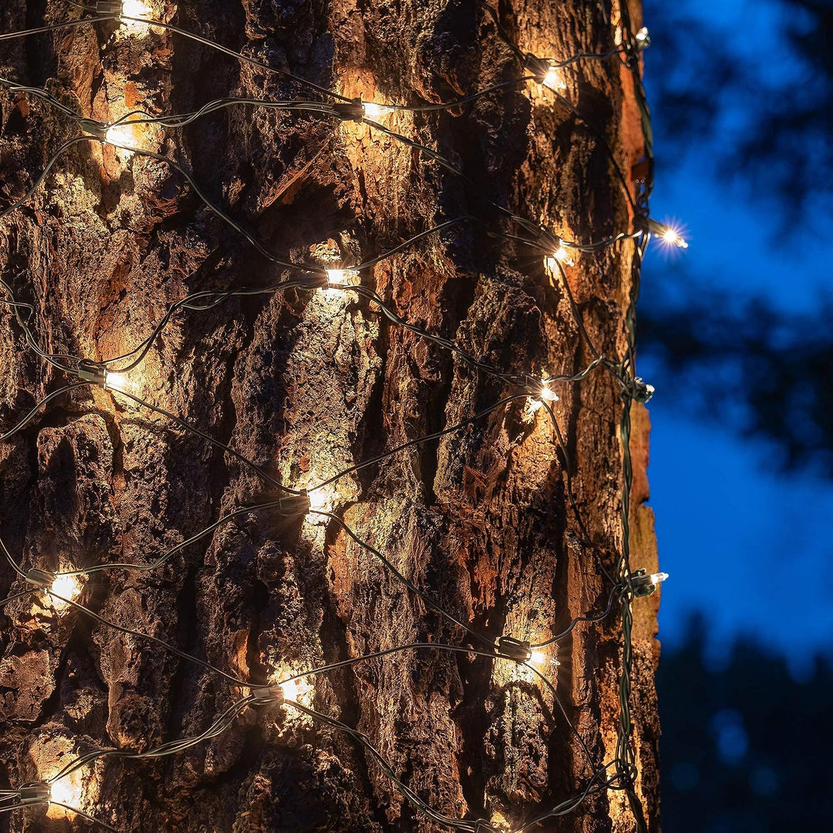 Clear Christmas Trunk Wrap Lights with 100 Lamps on Green Wire, 2' x 8'