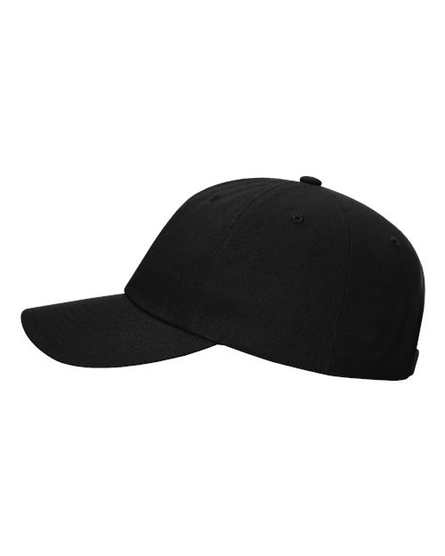 Sustainable Ashland Dad Hat | USA Decoration