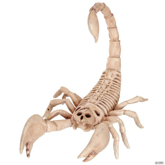 9" Scorpion Skeleton Halloween Decoration