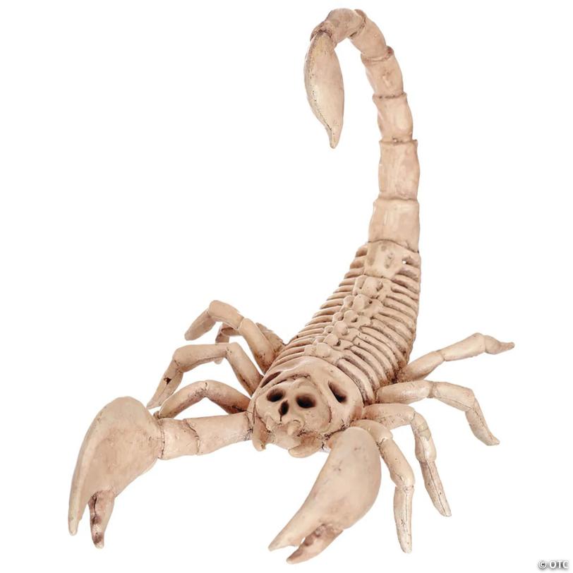 9" Scorpion Skeleton Halloween Decoration