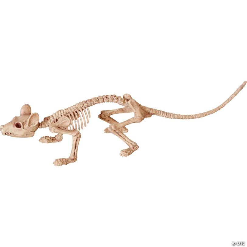 9" x 2" Mini Skeleton Rat Prop