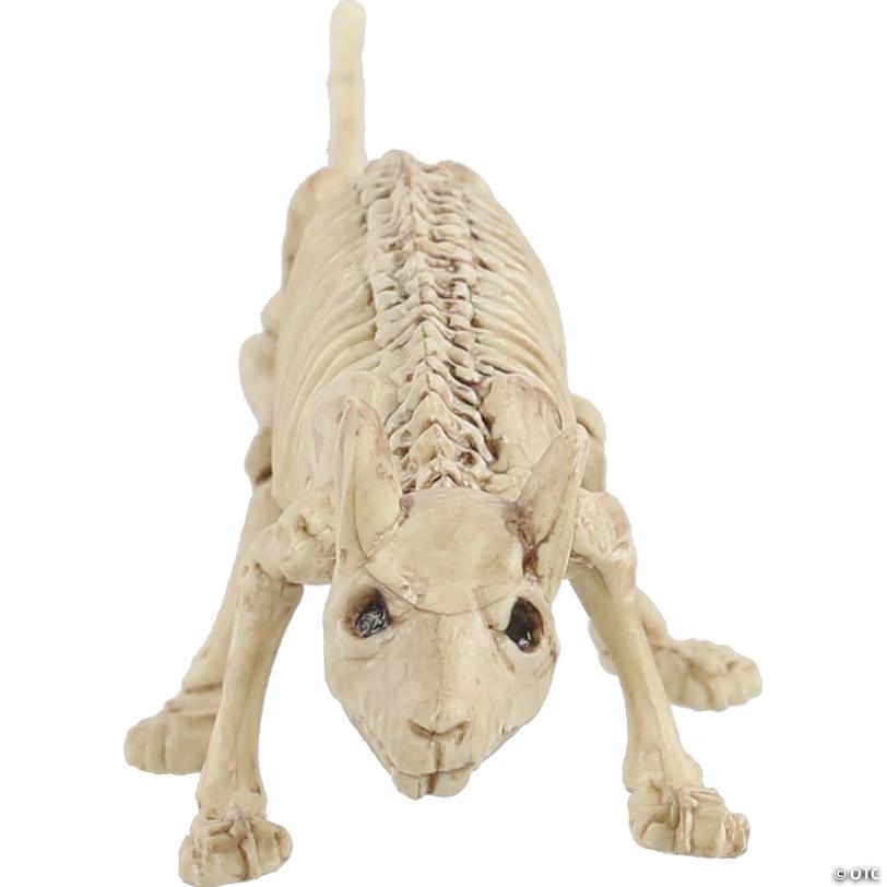 9" x 2" Mini Skeleton Rat Prop