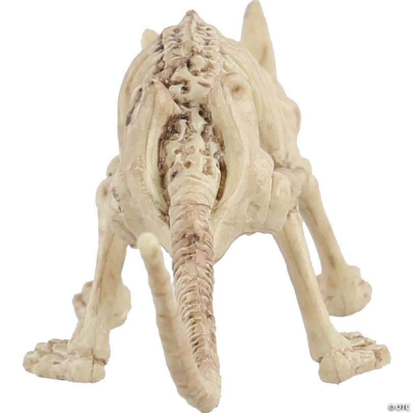 9" x 2" Mini Skeleton Rat Prop