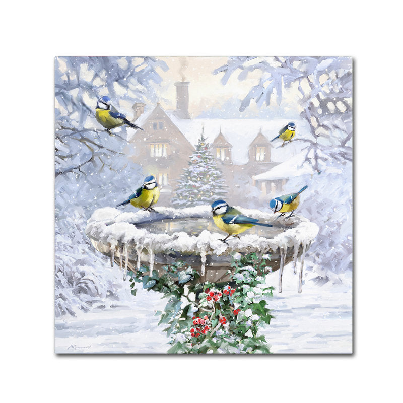 Armand 'Birdbath Flat' Print on Canvas