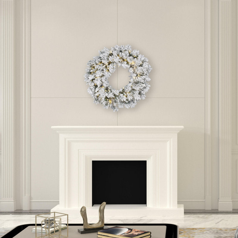 20" Artificial Christmas Wreath displayed on a front door