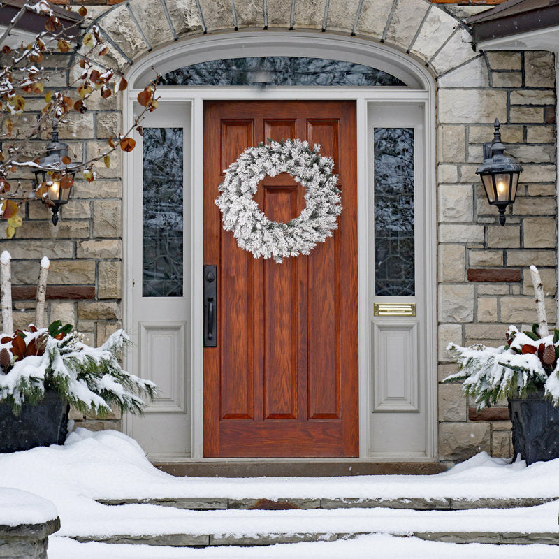 20" Artificial Christmas Wreath displayed on a front door