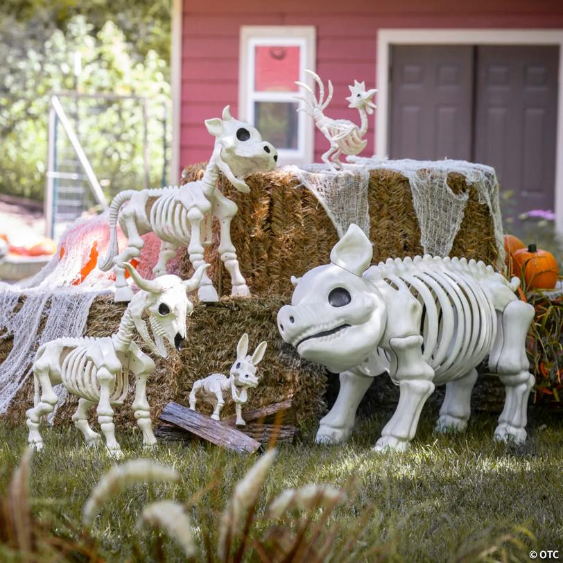 Barnyard Farm Animal Skeletons Assortment Kit - 5 Pc.