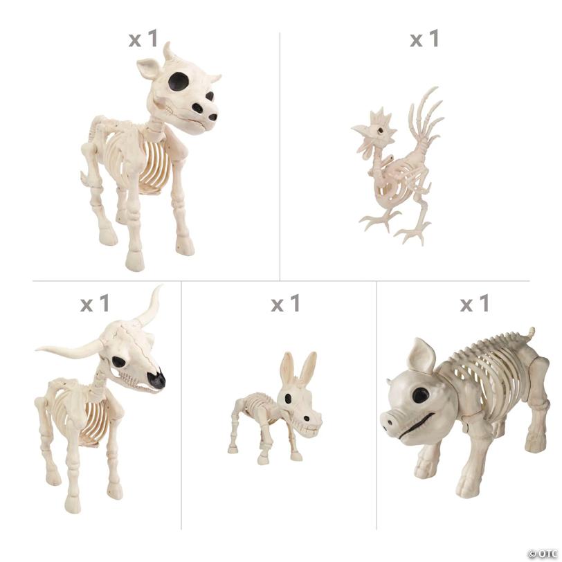 Barnyard Farm Animal Skeletons Assortment Kit - 5 Pc.