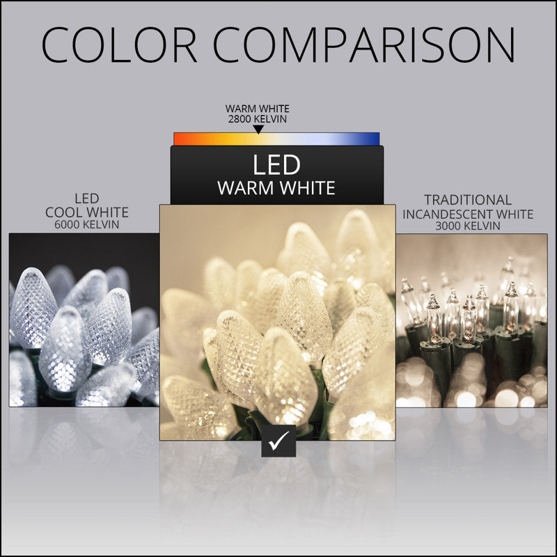 C7 Christmas 25-Light LED String Light