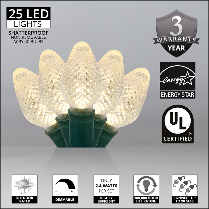 C7 Christmas 25-Light LED String Light