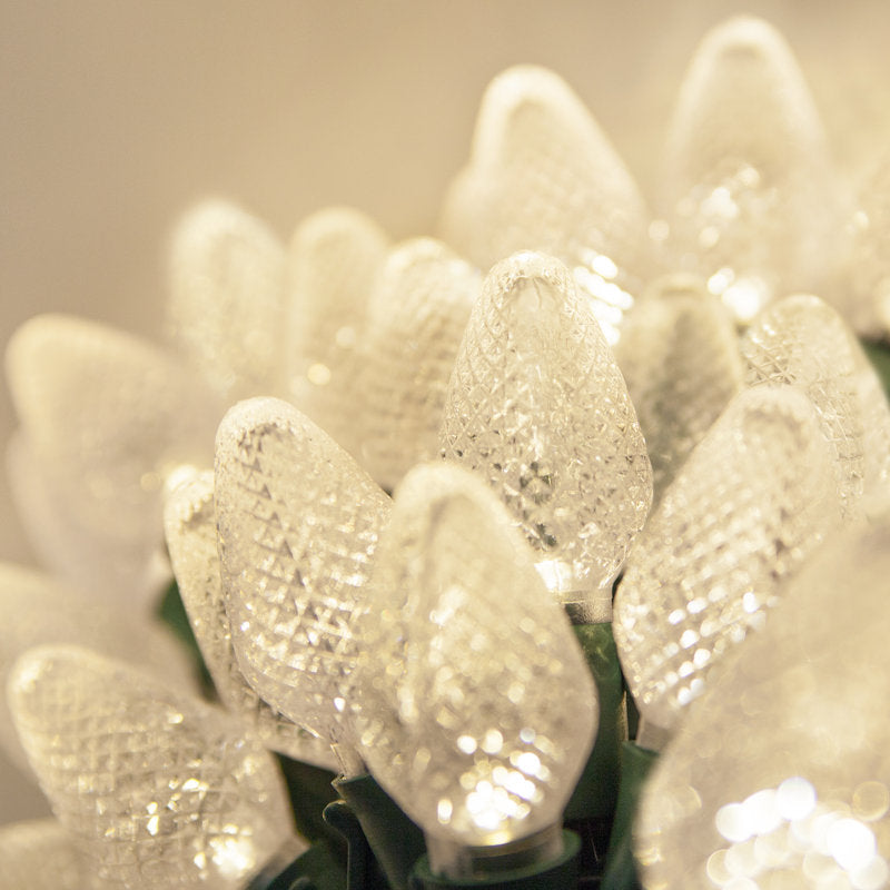 C7 Christmas 25-Light LED String Light