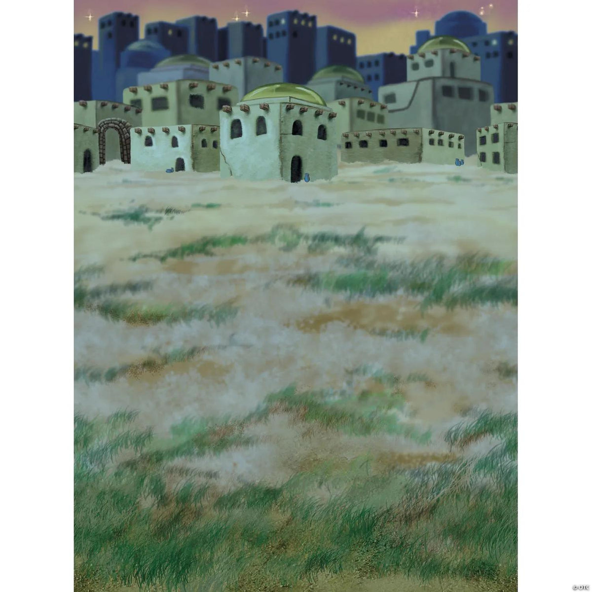 Design-A-Room Christmas Nativity Bethlehem town backdrop covering a wall for a pageant