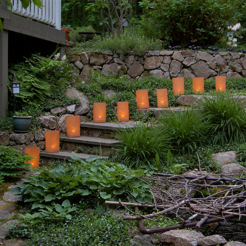 Electric Luminaria Kit