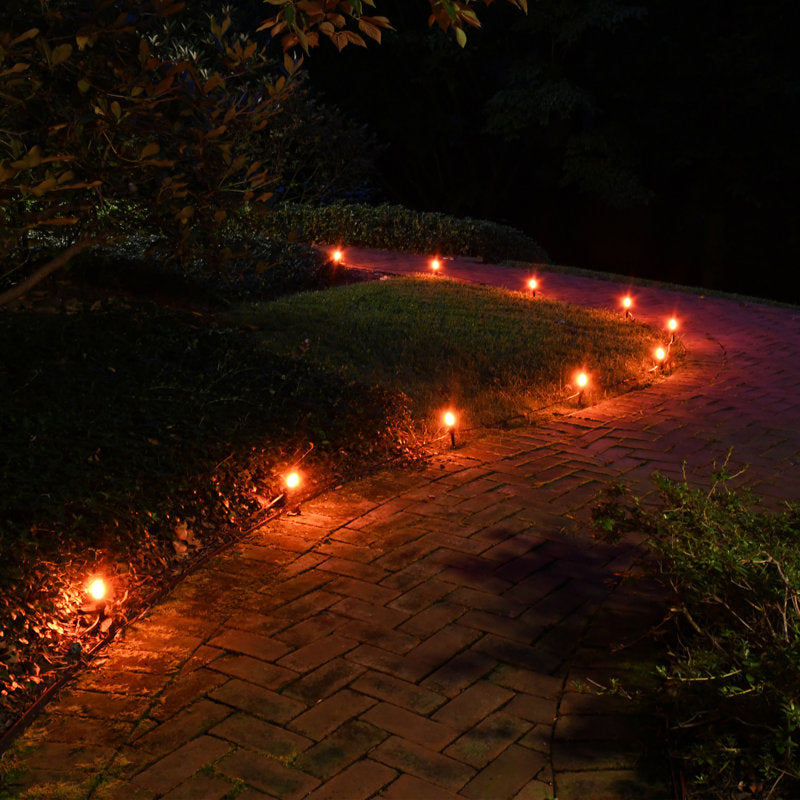 Electric Pathway Lights with 10 Bulbs