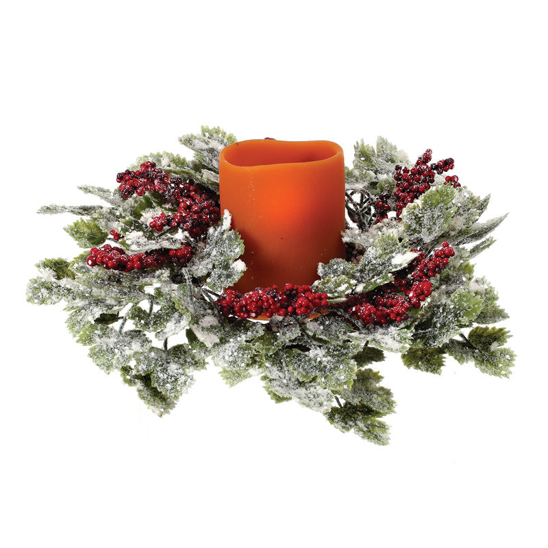 Flocked Artificial Christmas Wreath displayed on a front door