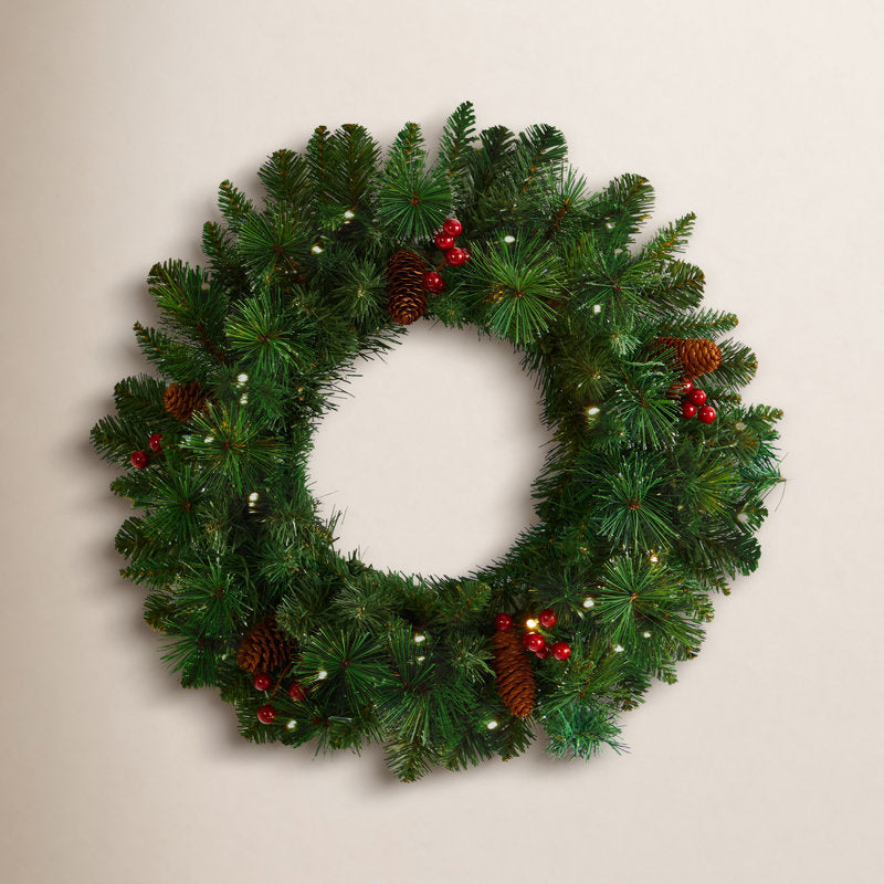 20" Pre-Lit Artificial Christmas Wreath displayed on a front door