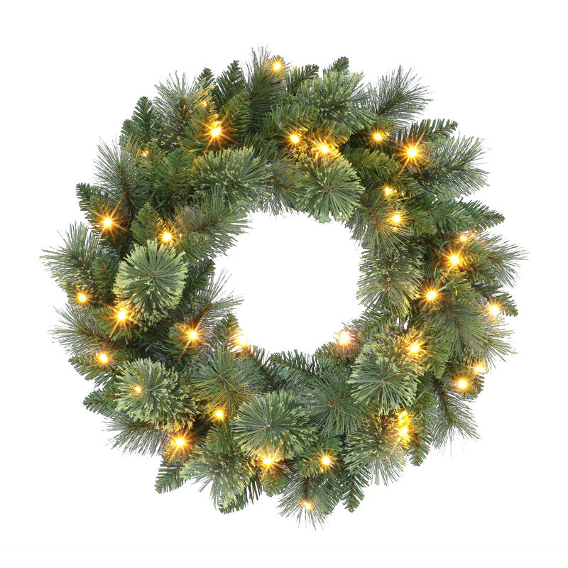24" Christmas Wreath hung on a wooden door