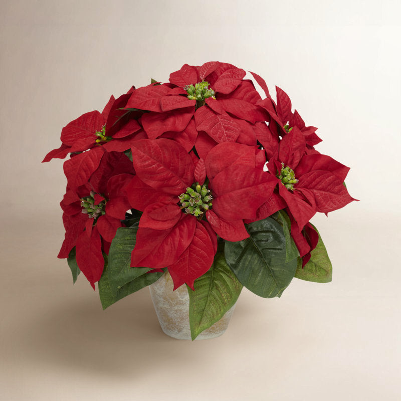 Holiday floral arrangement in a vase