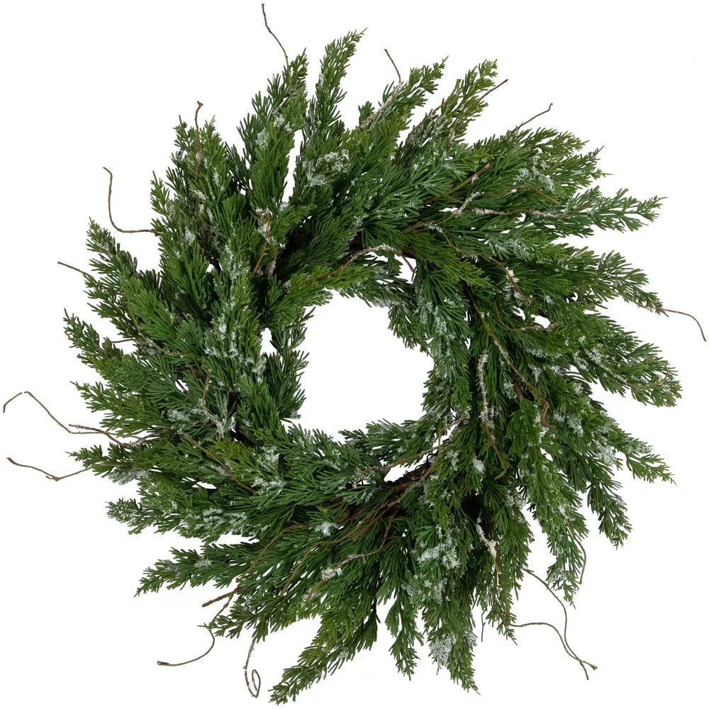 24" Northlight Real Touch™ Iced Cedar Artificial Christmas Wreath – Unlit