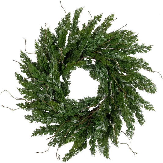 24" Northlight Real Touch™ Iced Cedar Artificial Christmas Wreath – Unlit