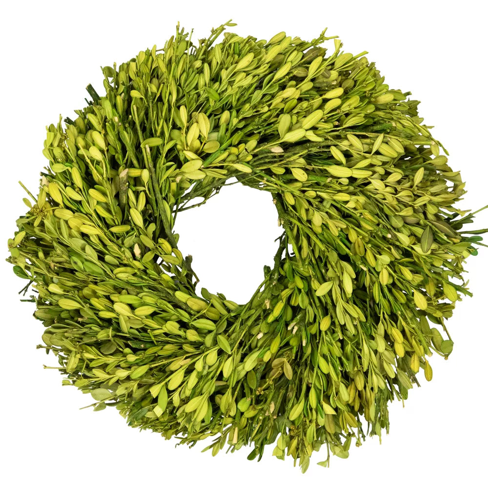 11 Inch Green Foliage Artificial Spring Wreath Unlit