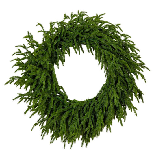 24" Norfolk Island Pine Wreath – Pre-Lit LED Holiday Decor